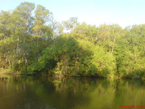 dsc02788.jpg dsc02788.jpg
